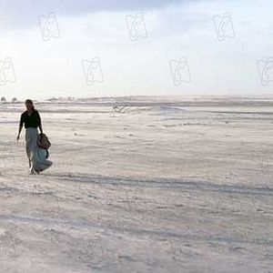 Bilder Andrucha Waddington