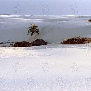 Bilder Andrucha Waddington