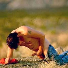 Bilder Matthew Barney