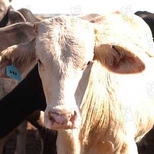 Bilder Richard Linklater