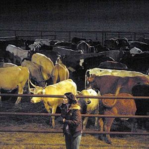 Bilder Richard Linklater