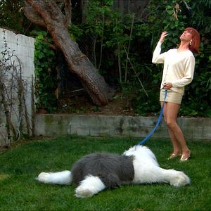 Bilder Clinton Leupp