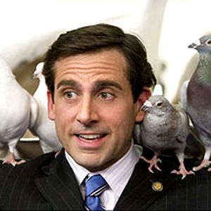 Bilder Steve Carell