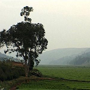 Bilder Jean-Christophe Klotz