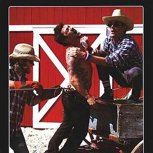 Bilder Jeff Tremaine