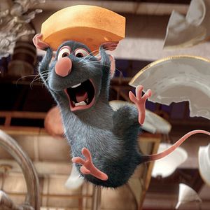 Bilder Ratatouille