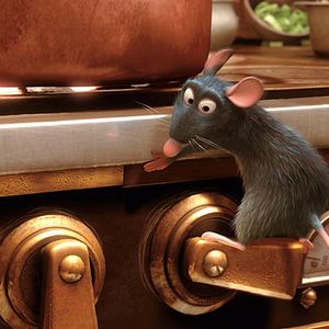 Bilder Ratatouille