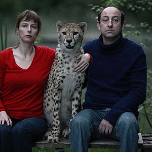 Bilder Carine Tardieu