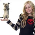 Bilder Avril Lavigne