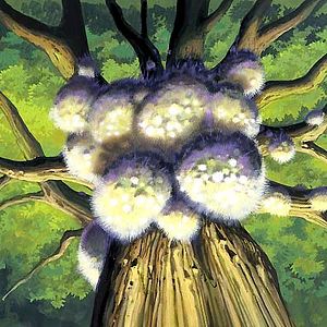 Bilder Nausicaä aus dem Tal der Winde