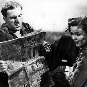 Bilder Alfred Hitchcock