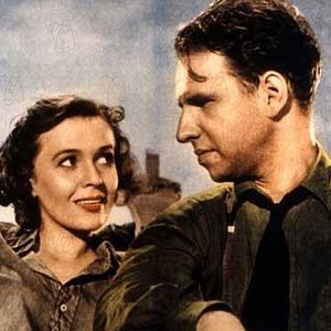 Bilder Alfred Hitchcock