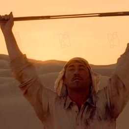 Bilder André Forcier