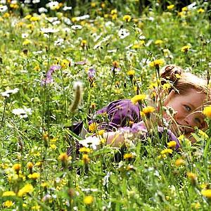 Bilder Der Fuchs und das Mädchen