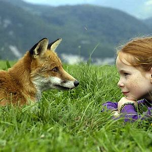 Bilder Bertille Noël-Bruneau