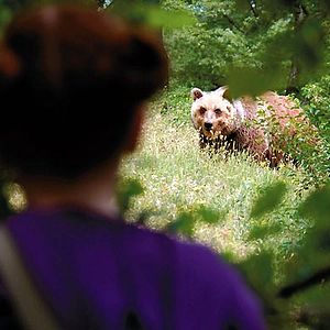 Bilder Bertille Noël-Bruneau