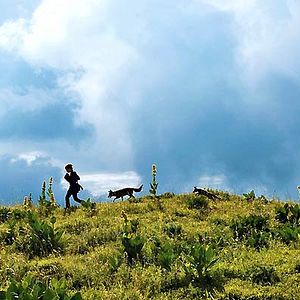 Bilder Bertille Noël-Bruneau