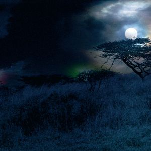 Bilder Mario Andreacchio