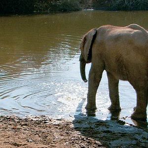 Bilder Mario Andreacchio