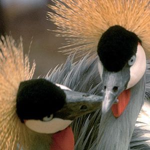 Bilder Mario Andreacchio