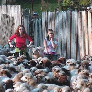 Bilder Tudor Giurgiu