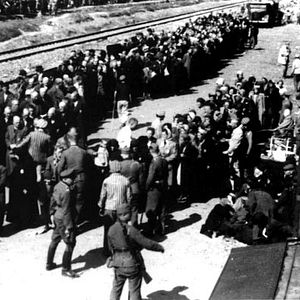 Bilder Mimmo Calopresti