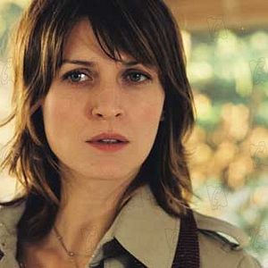 Bilder Didier Bourdon