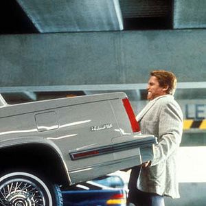 Bilder Twins - Zwillinge