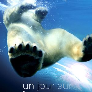 Bilder Unsere Erde - Der Film