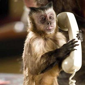 Bilder Nachts im Museum