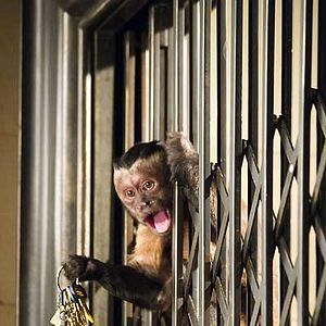 Bilder Nachts im Museum