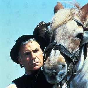 Bilder Das Traumpferd