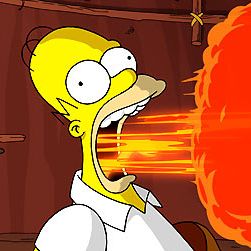 Bilder David Silverman