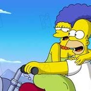 Bilder David Silverman