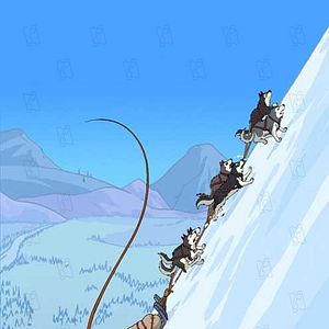 Bilder David Silverman