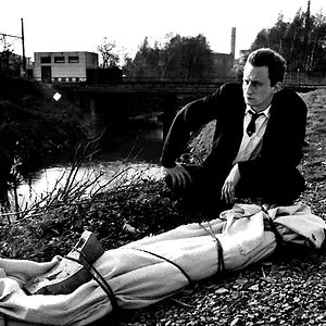 Bilder Mann beißt Hund