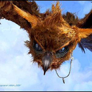 Bilder Gábor Csupó