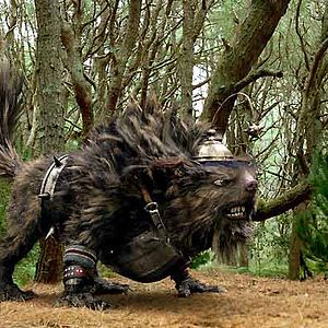 Bilder Gábor Csupó