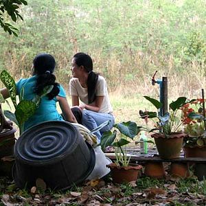 Bilder Syndromes and a Century