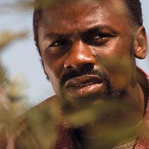 Bilder Phillip Noyce