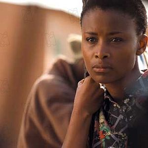 Bilder Phillip Noyce