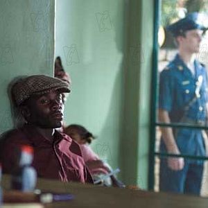 Bilder Phillip Noyce