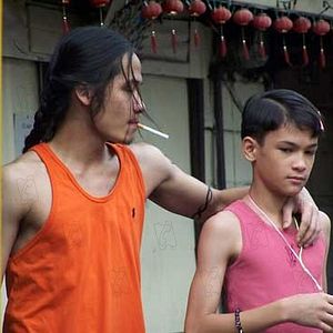 Bilder Auraeus Solito