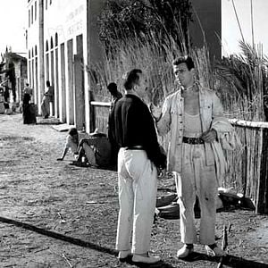 Bilder Lohn der Angst