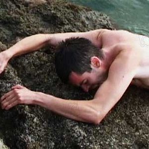 Bilder Nestor Cantillana