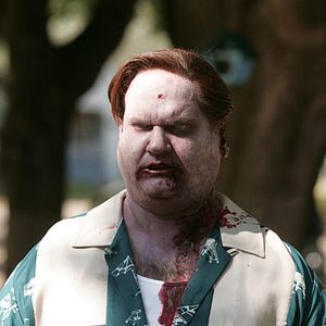 Bilder Andrew Currie