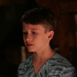 Bilder Andrew Currie