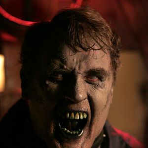 Bilder Andrew Currie