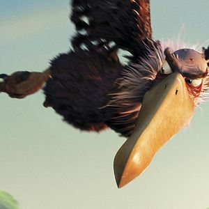 Bilder Jimmy Hayward