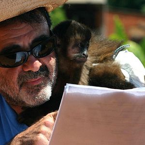 Bilder Der Weg nach San Diego